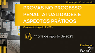Provas no Processo Penal: atualidades e aspectos práticos